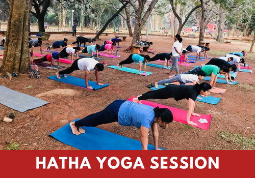 HATHA-YOGA-SESSION