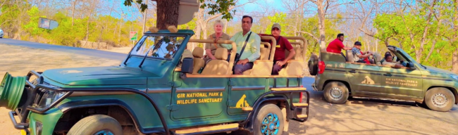 Gir National Park Wildlife Sanctuary